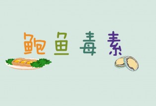 食品有意思：吃鮑魚也會中毒？