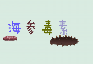 食品有意思：吃海參也會中毒？