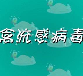 食品有意思：如何預(yù)防禽流感病毒感染？ 