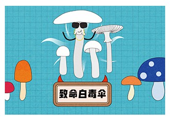 食品有意思：致命白毒傘是什么？