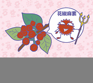 科普視頻：花椒為什么那么麻？