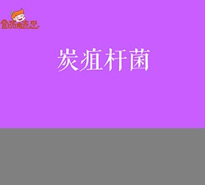 科普視頻:如何預(yù)防炭疽桿菌感染？