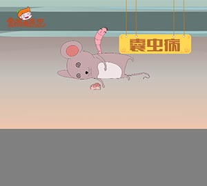 科普視頻:可怕的豬囊尾蚴??！